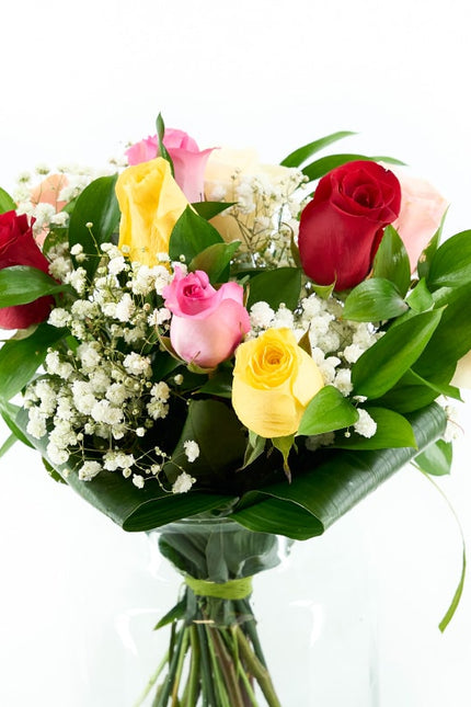 Rosas de colores