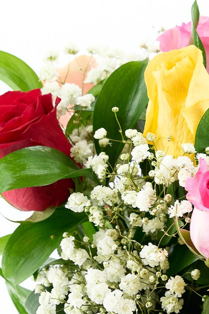 Rosas de colores