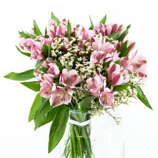Explosión de Flores