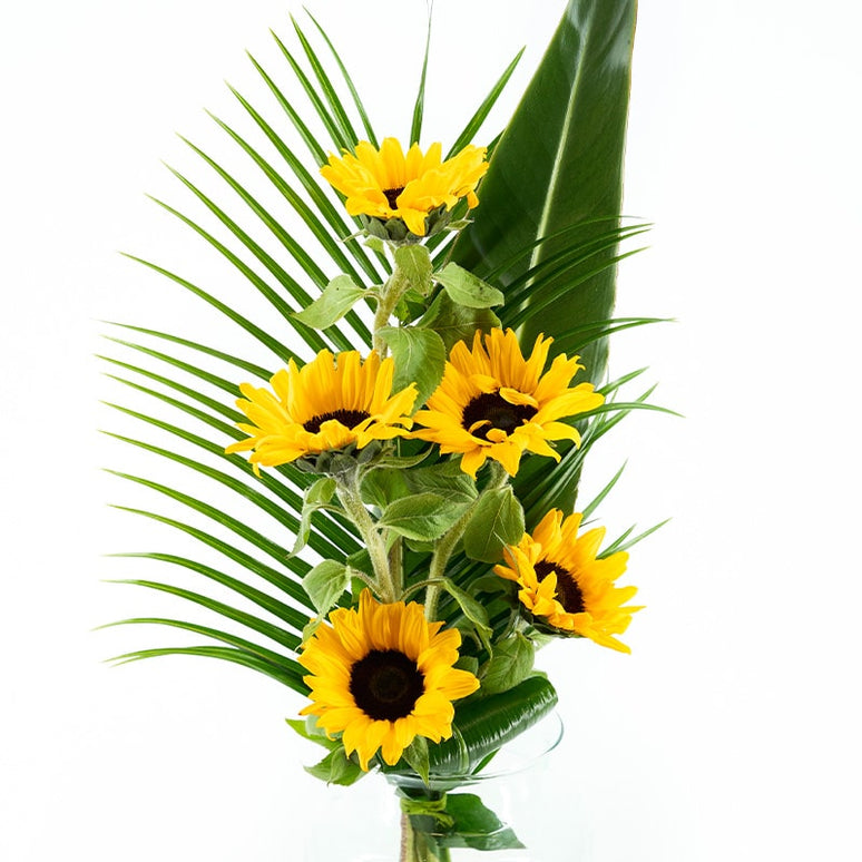 Ramo de girasoles Rayos de Sol