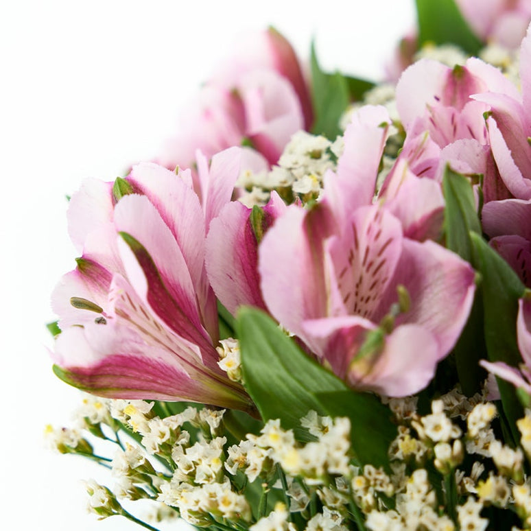 Explosión de Flores