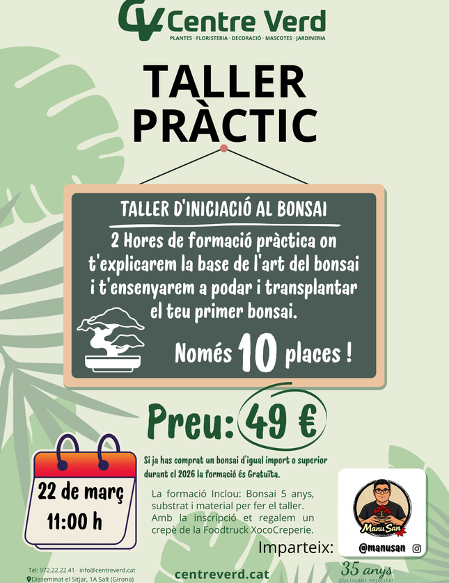 TALLER D'INICIACIÓ AL BONSAI
